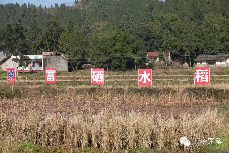 遂宁富硒水果种植基地