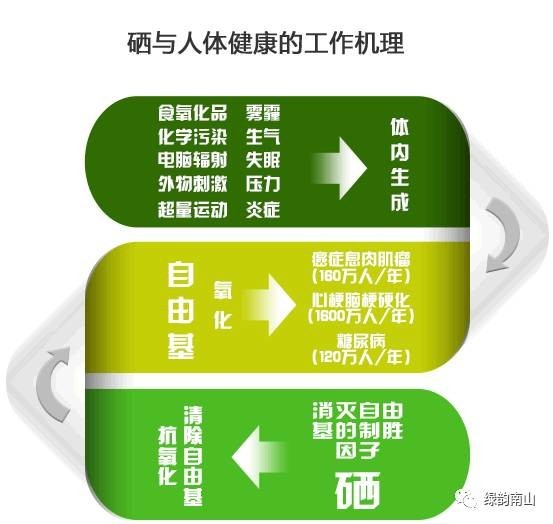 临淄富硒水果采摘活动