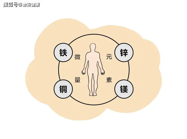 微量元素吃什么