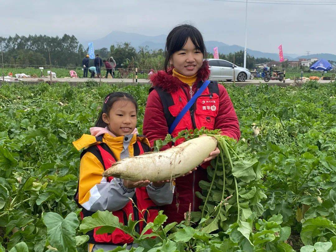 富硒土种植水果好吃吧