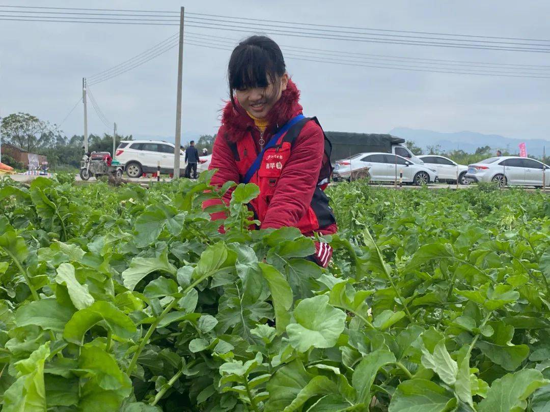 富硒土种植水果好吃吧