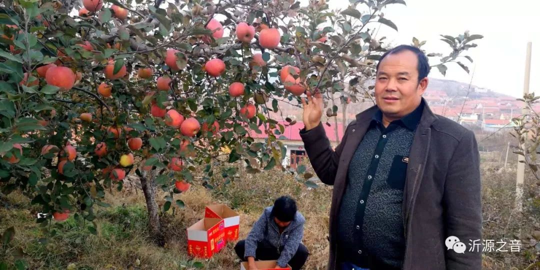 绿色生态富硒水果基地