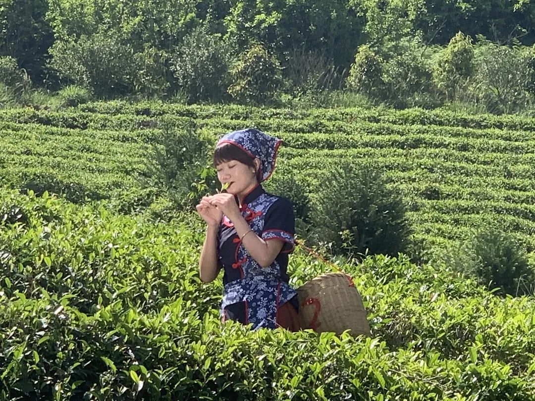 绿色生态富硒水果基地