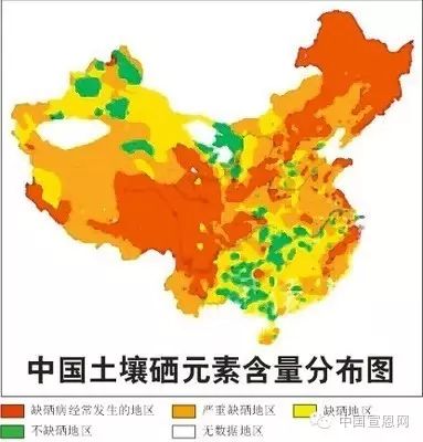 水果含富硒是什么意思