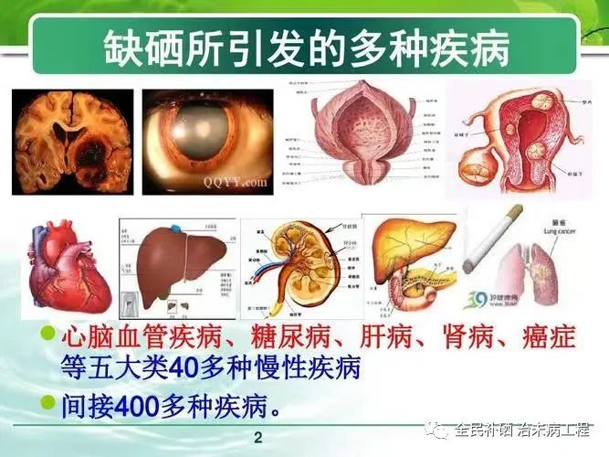 硒有多少个产品和作用