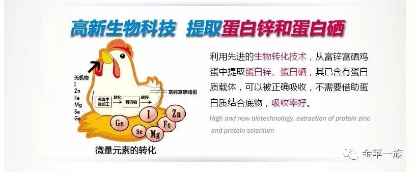 有哪些成人补锌硒产品