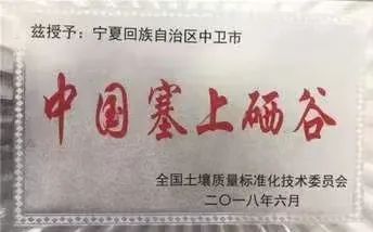 硒砂瓜主要卖什么产品