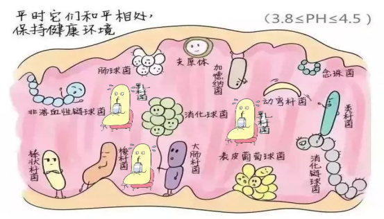 验微量元素需要空腹吗