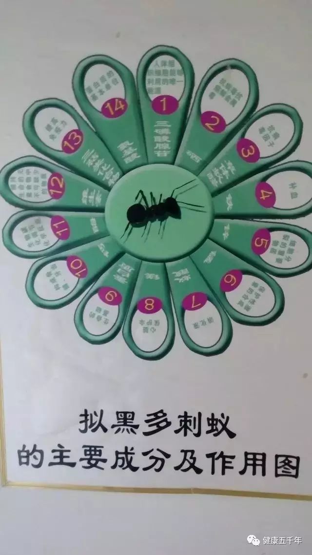 超微系列碘钴硒铬产品