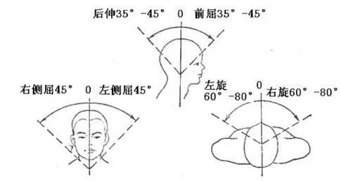 补钙对肩周炎有好处吗