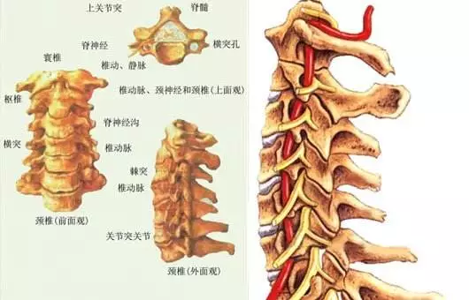 补钙对肩周炎有好处吗