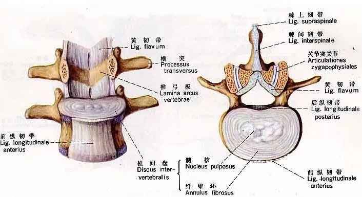 补钙对肩周炎有好处吗