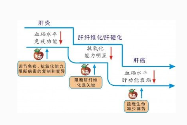 硒维康对腹胀气有用吗