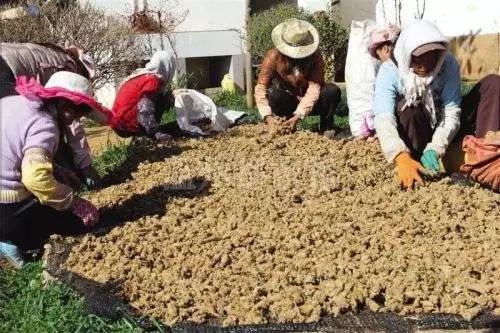 吃硒维康能喝三七粉吗