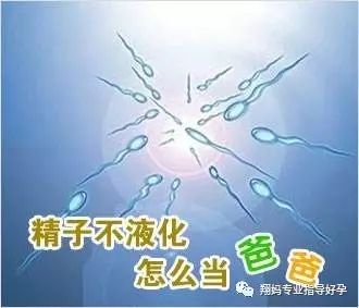 补充精子活力的锌硒宝