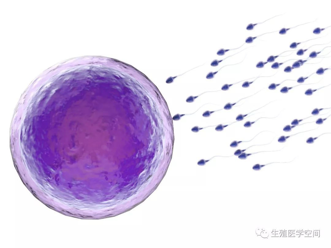 精子不液化治疗锌硒宝