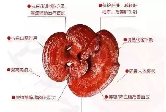 锌硒片的作用及功能主治