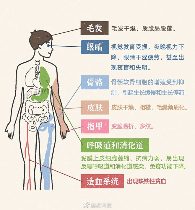 60岁每天需要补多少硒