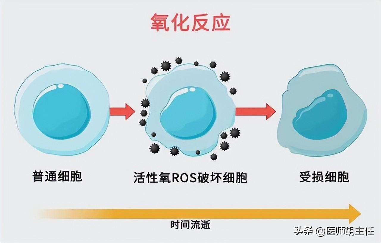 免疫力不够可以补硒吗吗