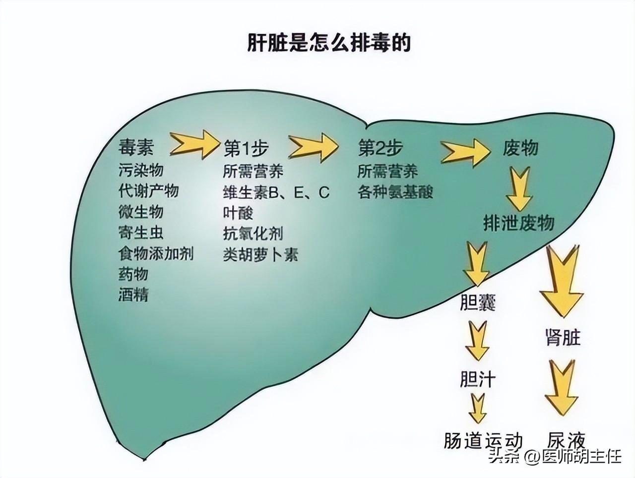 免疫力不够可以补硒吗吗