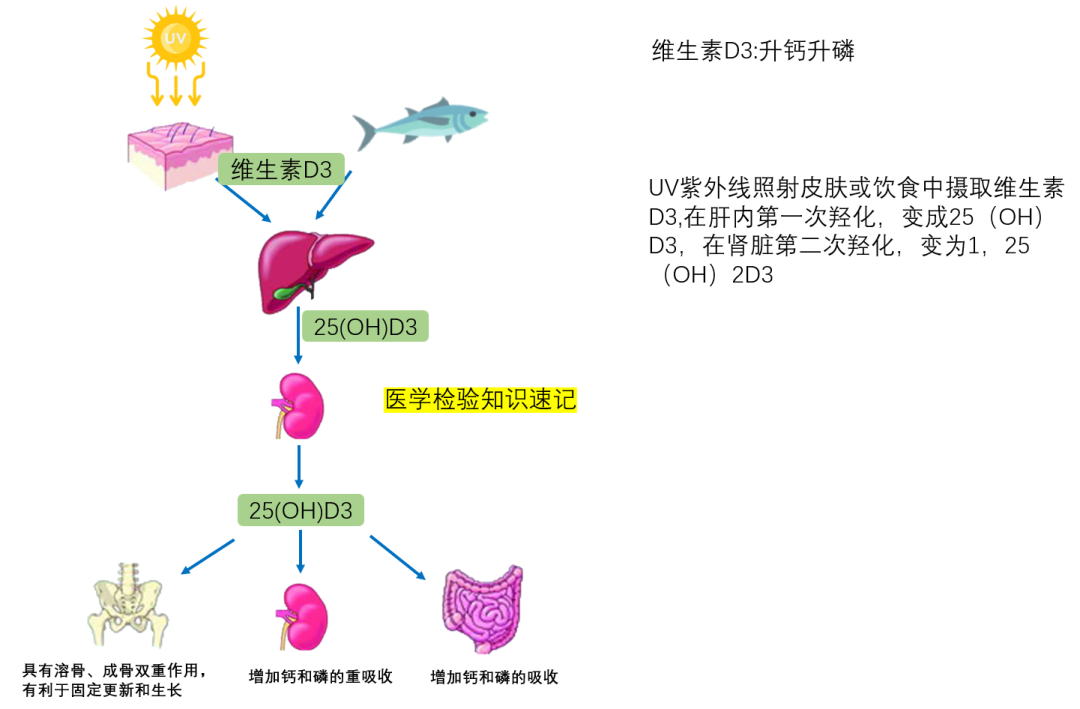 补钙注射哪种效果好