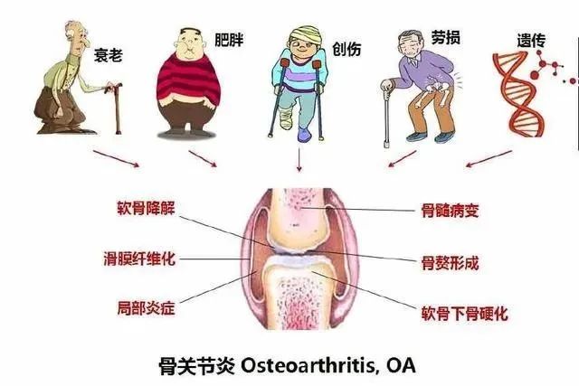 补硒的盐对补硒作用大吗