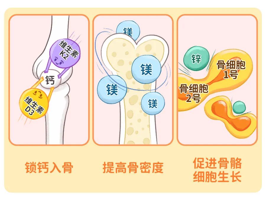 10岁儿童需要补钙吗