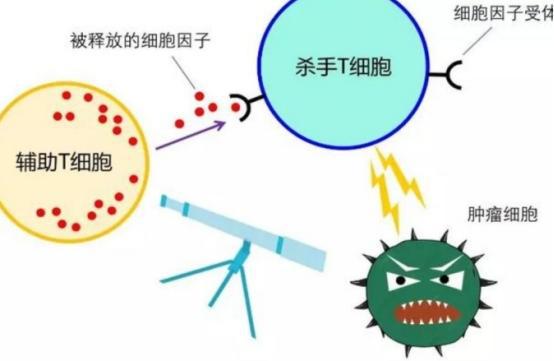 补硒还是补镁元素好一点