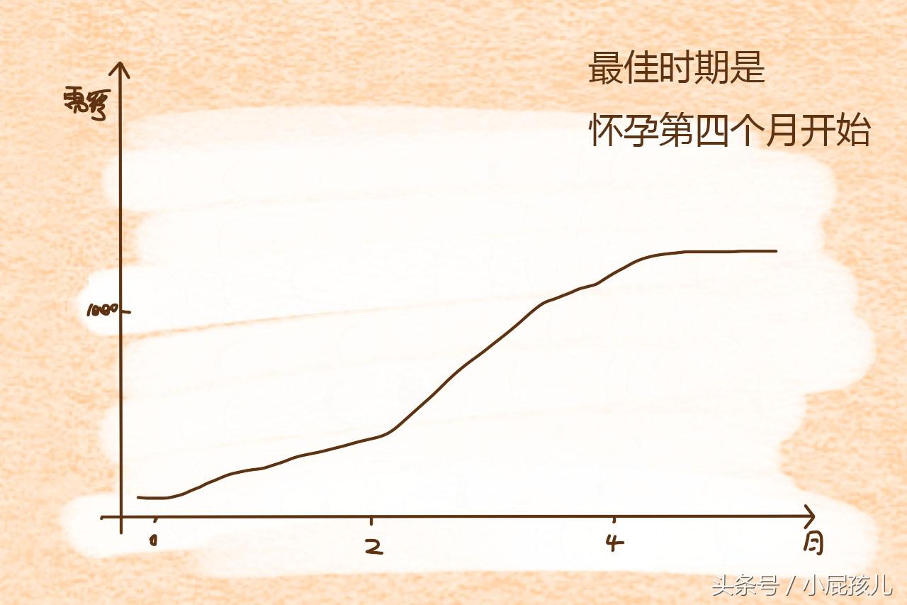 补钙和补锌的最佳时间