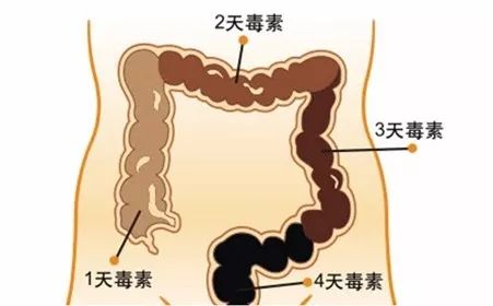 补硒的同时能吃益生菌吗