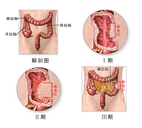 补麦芽硒会出现什么症状