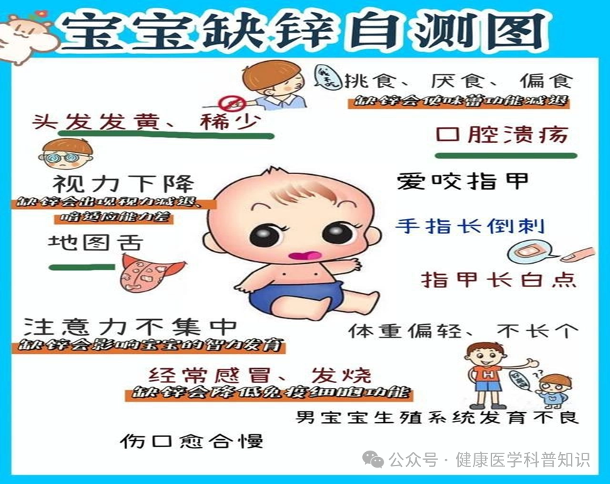 小孩补锌什么时间吃效果最佳