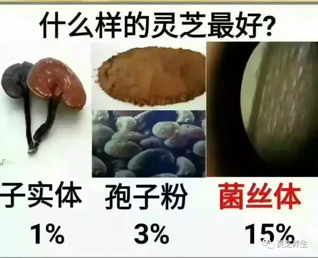 肾病补多少硒合适呢男性