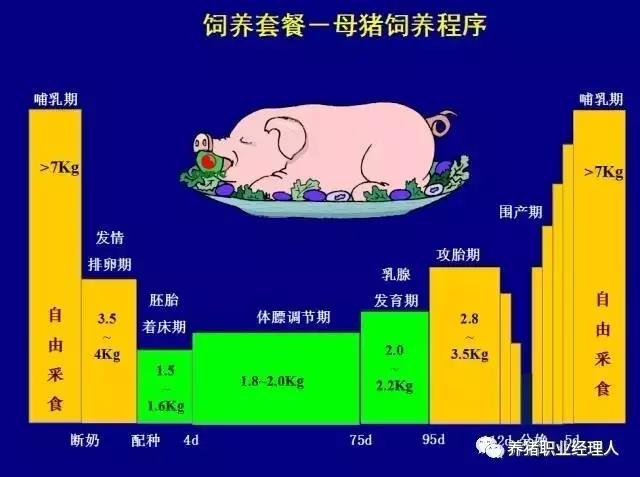 仔猪补铁和补硒同时进行