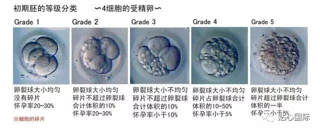 婴儿怎样补硒最好的方法