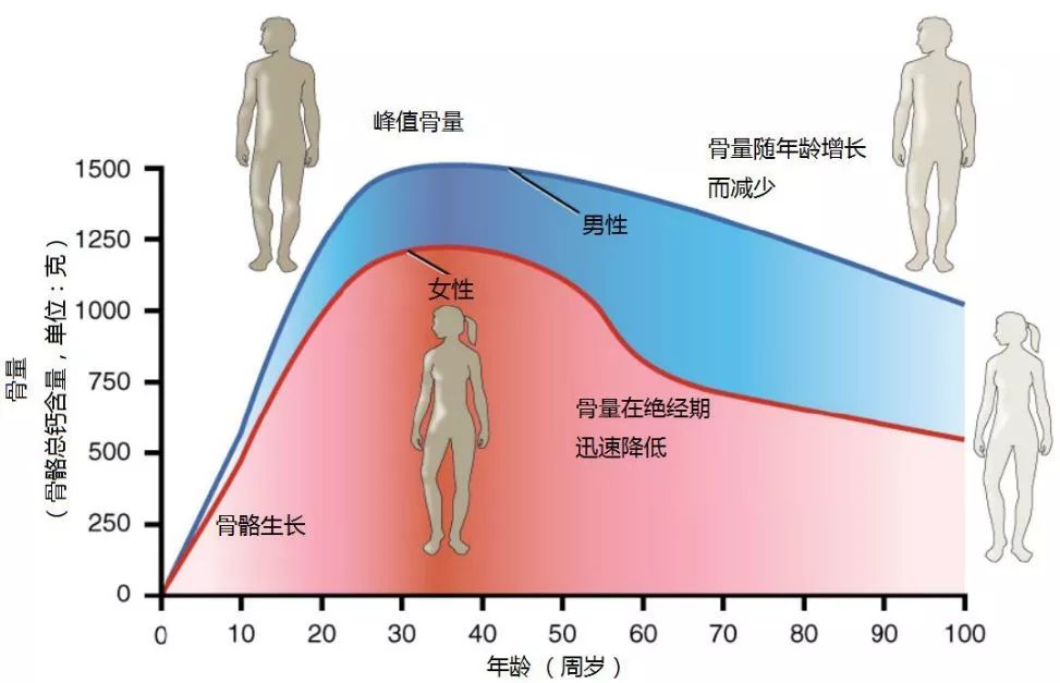 女性吃什么补硒元素最快