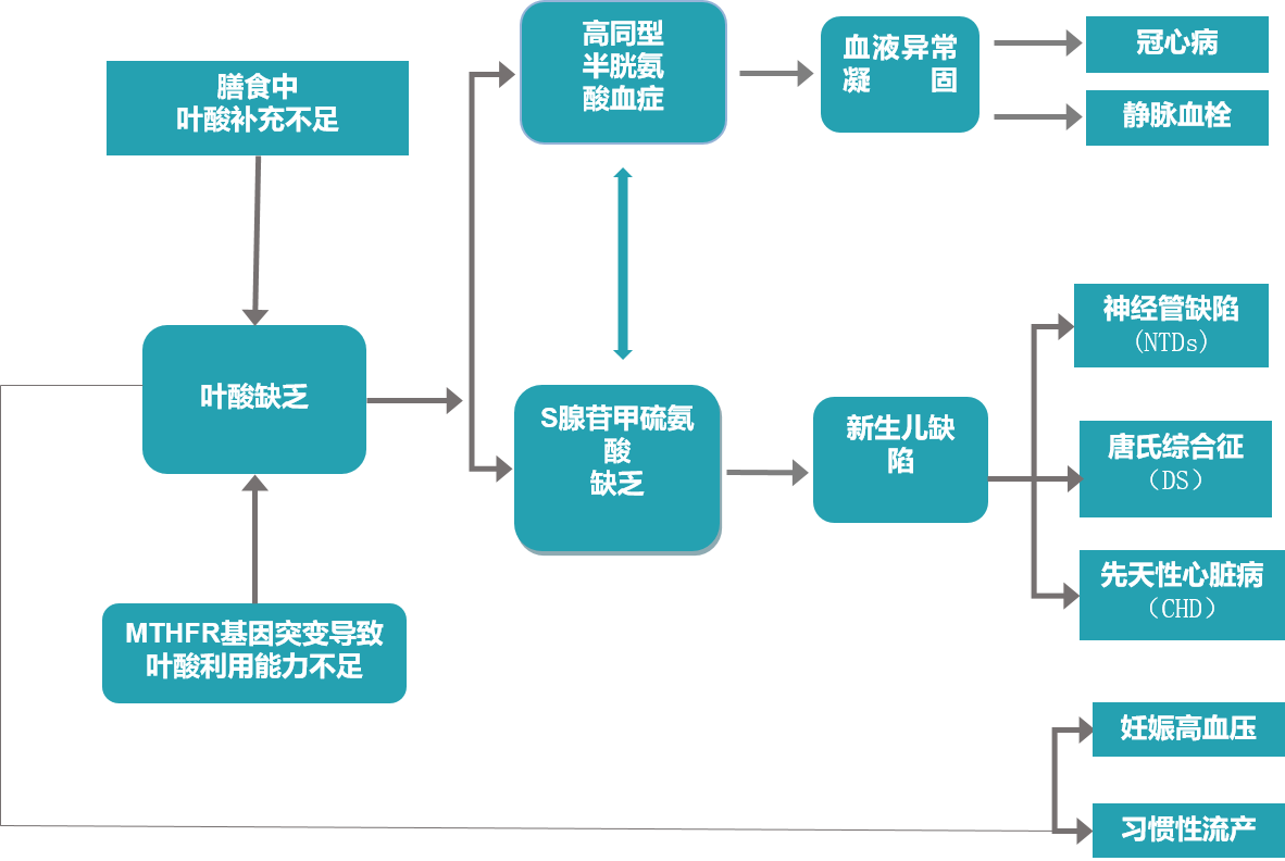 叶酸超标还用补硒吗宝宝