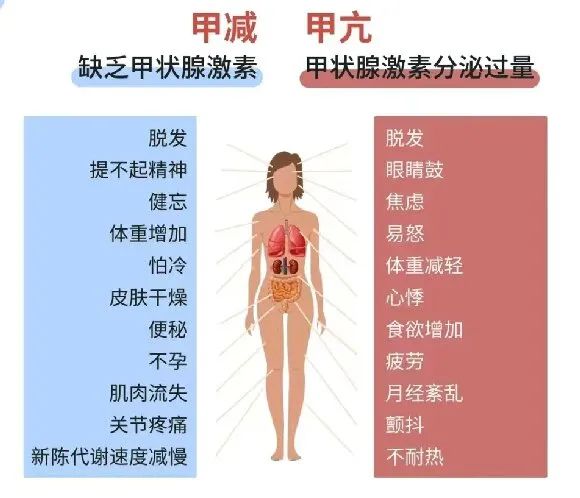 桥本氏甲状腺炎补硒剂量