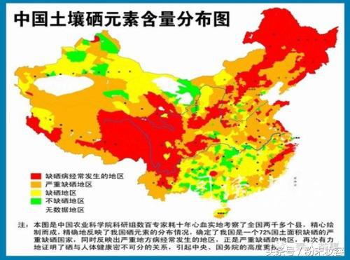 补硒药品的副作用和禁忌