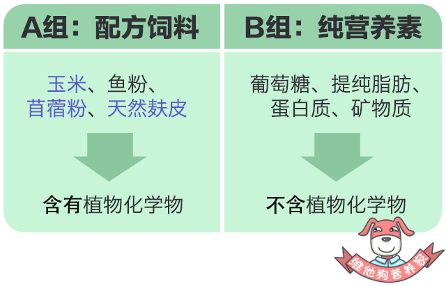 吃什么蔬菜水果可以补硒