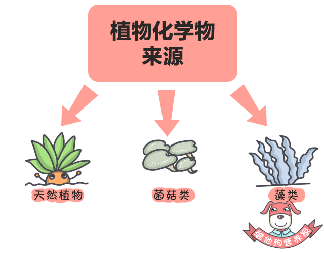 吃什么蔬菜水果可以补硒