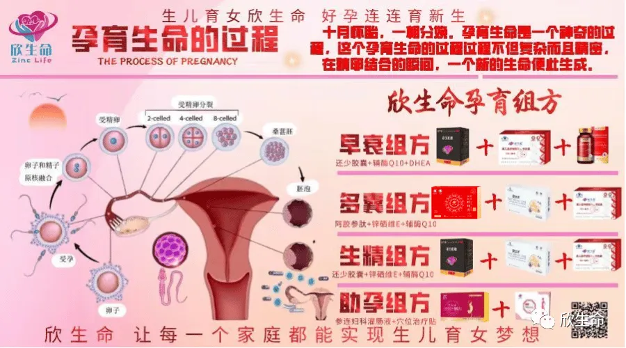 硒需要补多久调节内分泌