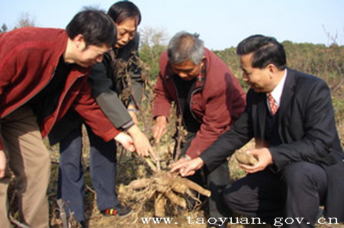 为什么不能全民补硒了呢