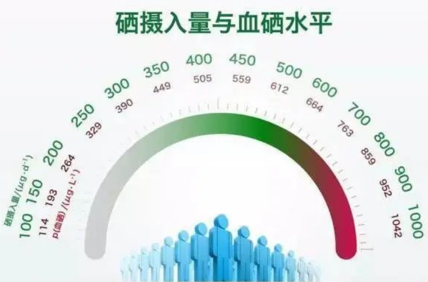 什么是科学补硒法的标准