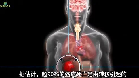 治疗甲状腺癌可以补硒吗