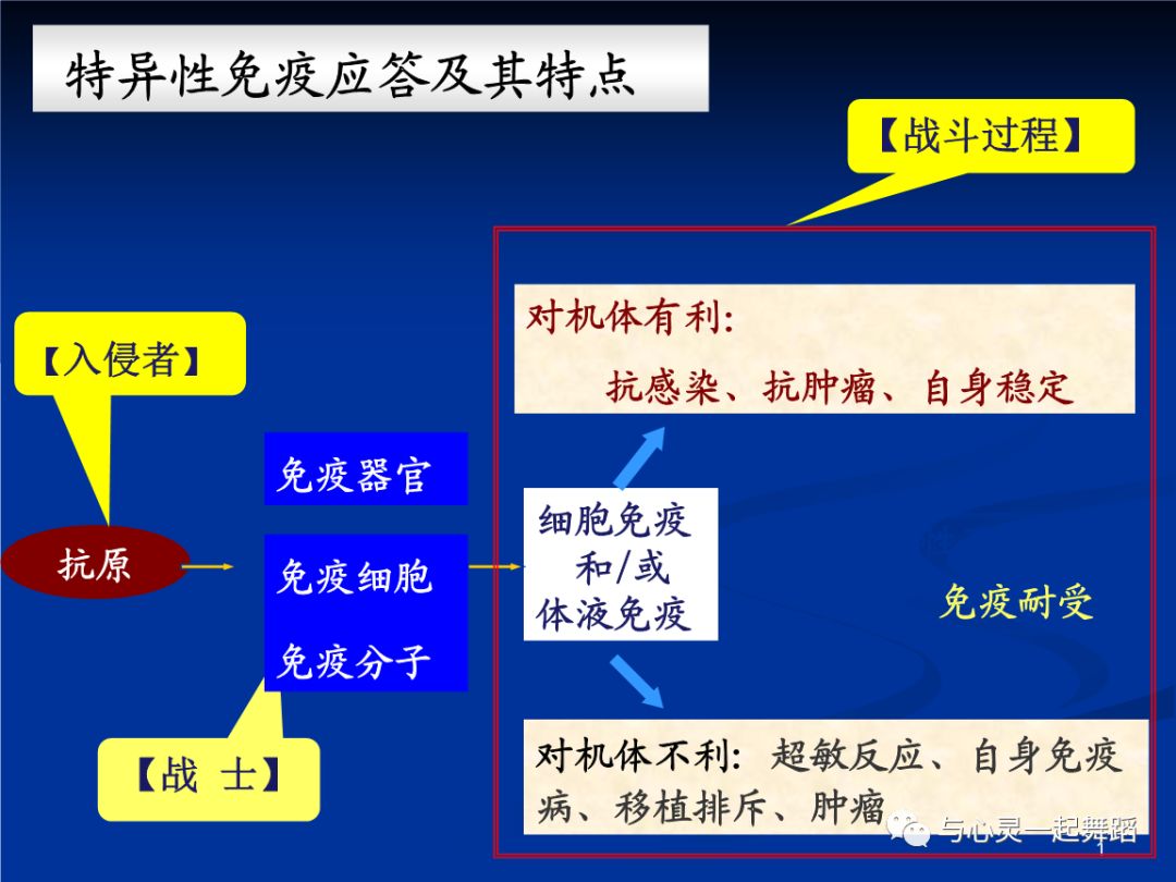 免疫系统亢进可以补硒吗