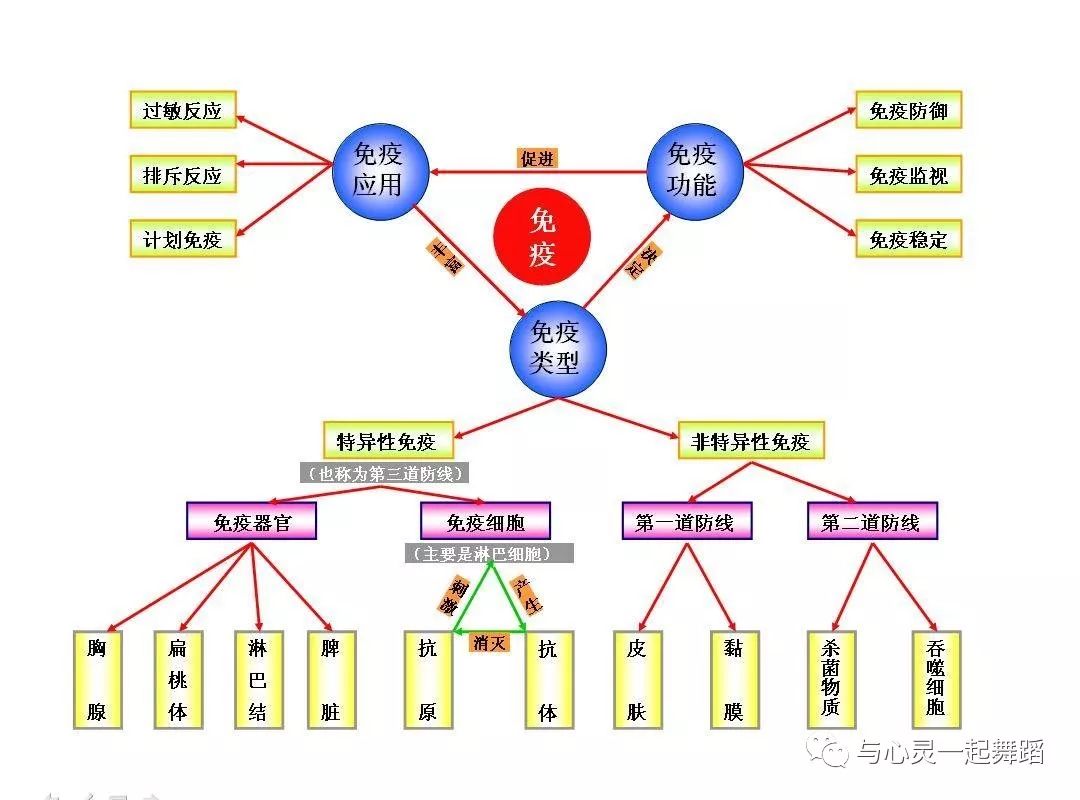 免疫系统亢进可以补硒吗