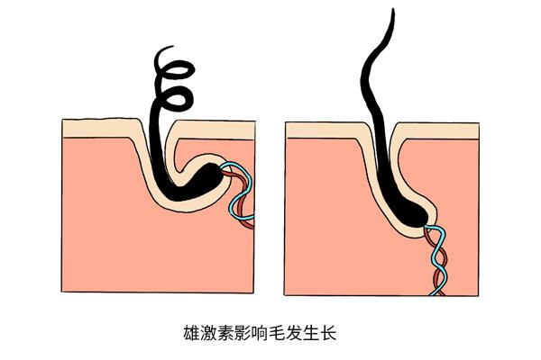 男人锌硒补多了会怎么样