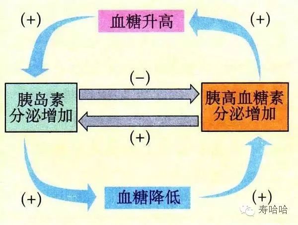 乙肝补硒食物多久一次吃