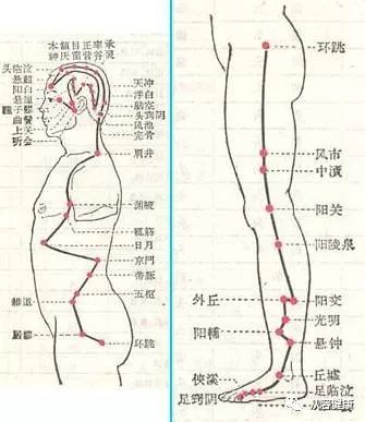 骨关节病为什么要补硒呢